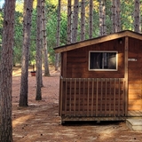 Small cabin in a wooded area.