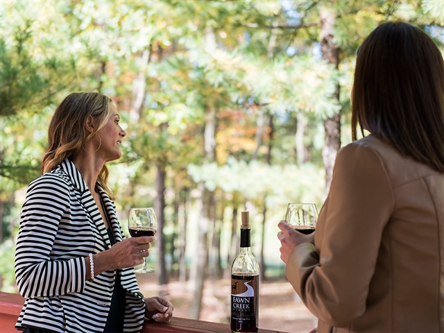 Women at Fawn Creek Winery near Wisconsin Dells.