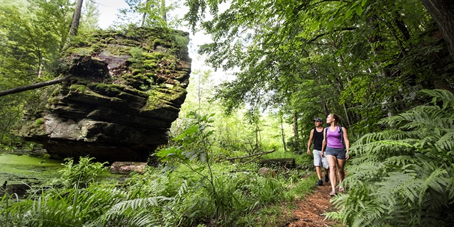 A couple hikes in Rocky Arbor State Park.