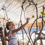 A girl with a bird on a stick at Timbavati